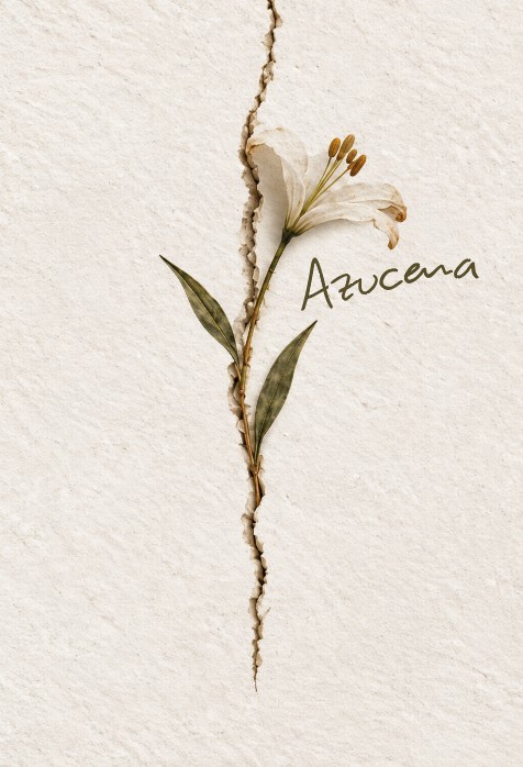 Tapa de Azucena: una azucena sobre papel rasgado